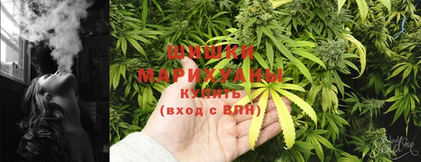 mdpv Бородино