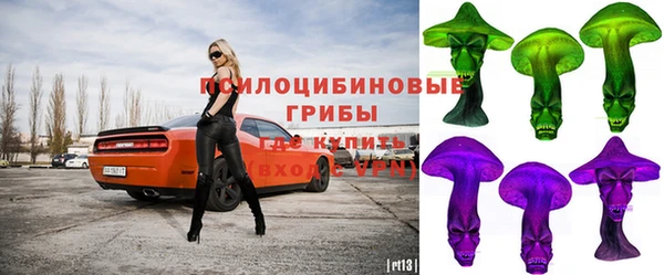 ГАЛЛЮЦИНОГЕННЫЕ ГРИБЫ Бронницы