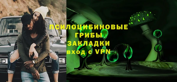 mdpv Бородино