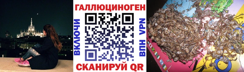 Галлюциногенные грибы GOLDEN TEACHER  Горбатов 